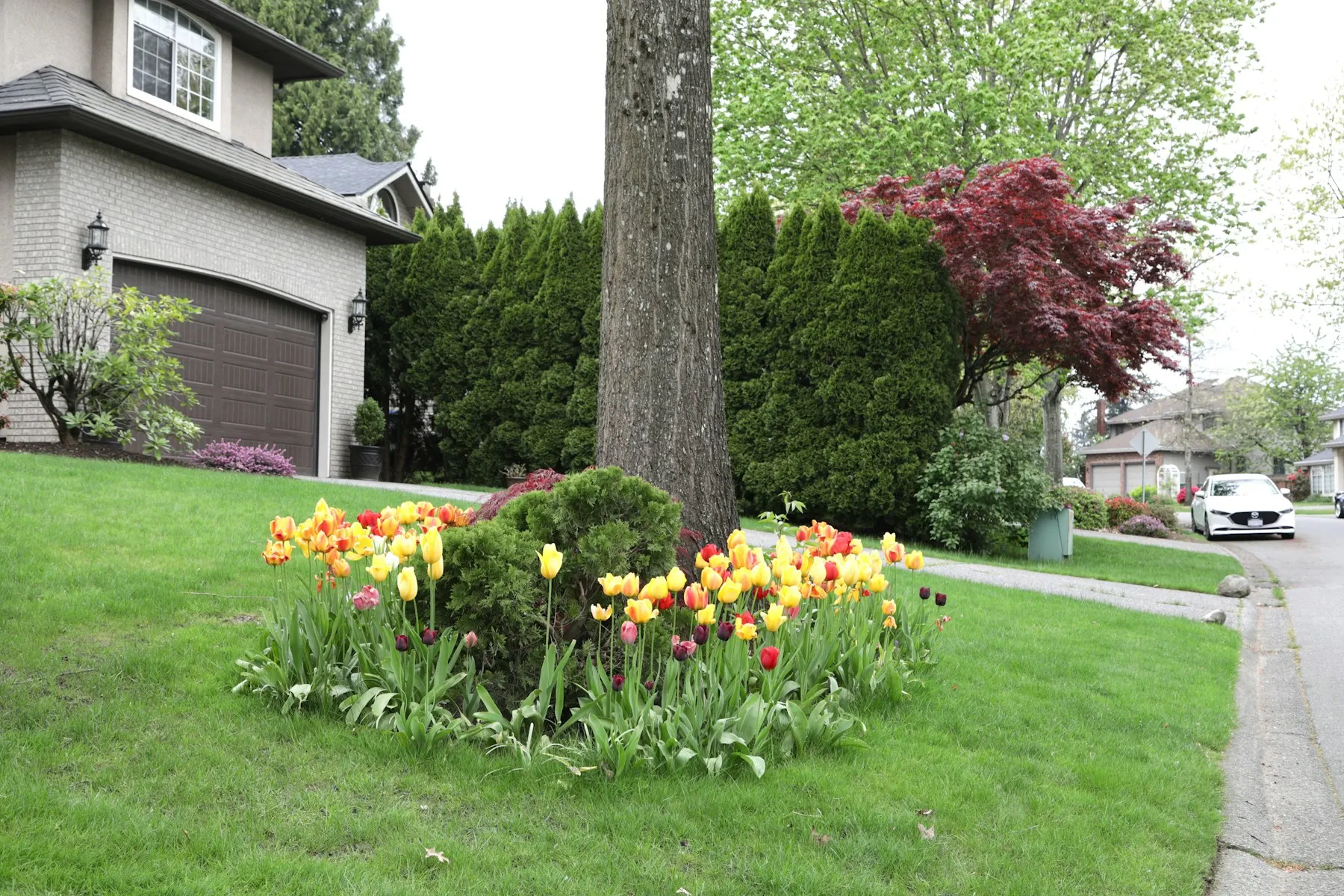 Lawn Care & Landscaping services made easy to quote